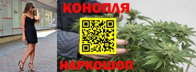 тгк Будённовск